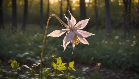 „Transit Delta: Geheimnisvolle Enthüllungen – Was die Beobachtung über unsere Zukunft verrät!“