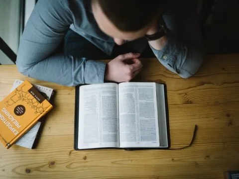 Alle reden über »Yesteryear«. Muss man den Tradwife-Roman wirklich lesen?