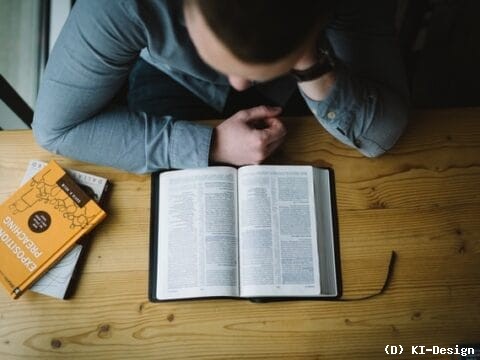 Alle reden über »Yesteryear«. Muss man den Tradwife-Roman wirklich lesen?