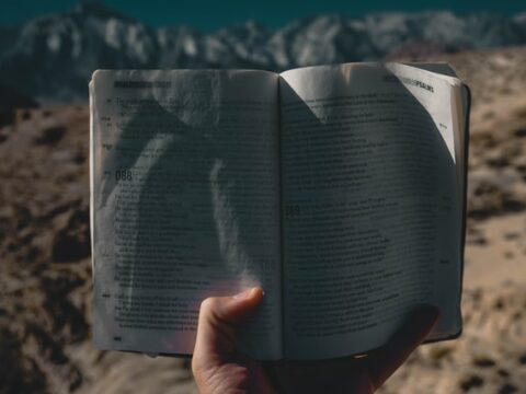 Rassistischer Nationalismus: Parallelen und altbekannte Probleme (Teil V)