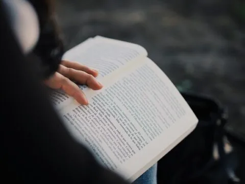 Lea Korsgaard – „Das Jahr der Schmetterlinge“