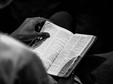 Hannah Arendt und die Kraft der Freundschaft: Eine neue Perspektive auf eine Jahrhundertdenkerin**