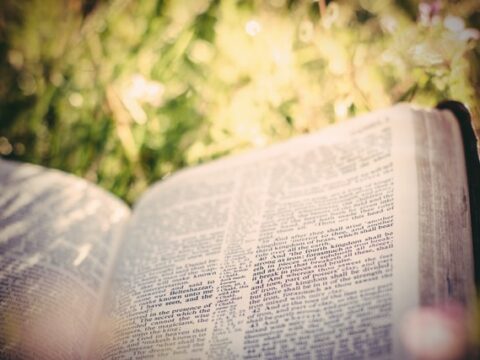 Krimi »Minnesota« von Jo Nesbø: Schüsse in einer verwundeten Stadt