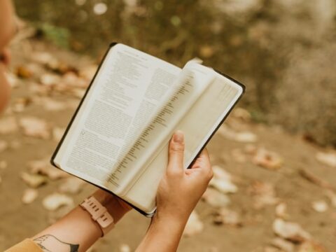 Neues Gemeinschaftsbüro von Noxtua AG und Beck-Noxtua Vertriebs GmbH in München eröffnet Neues Gemeinschaftsbüro von Noxtua AG und Beck-Noxtua Vertriebs GmbH in München eröffnet