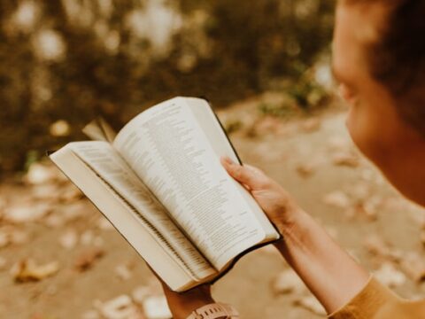 Neuerscheinungen 2026: Diese Romane dürfen in keinem Bücherregal fehlen