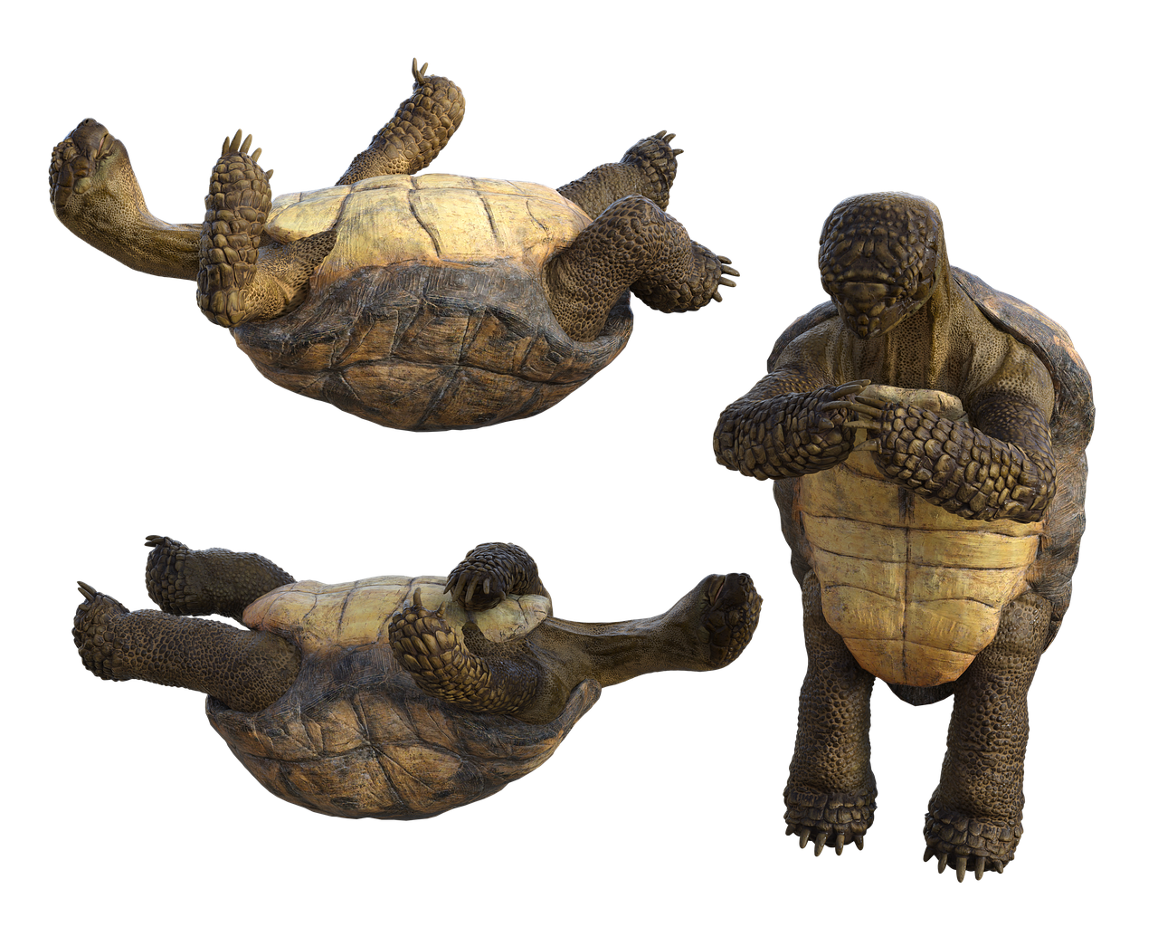 Sven Nordqvist und die Bedeutung von Kreativität in der Compliance-Erziehung